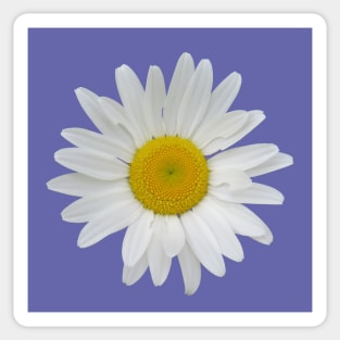 Daisy Sticker